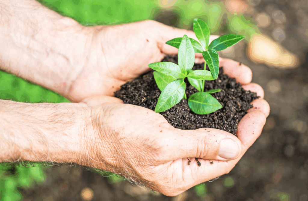 できたを集めながら自分らしい